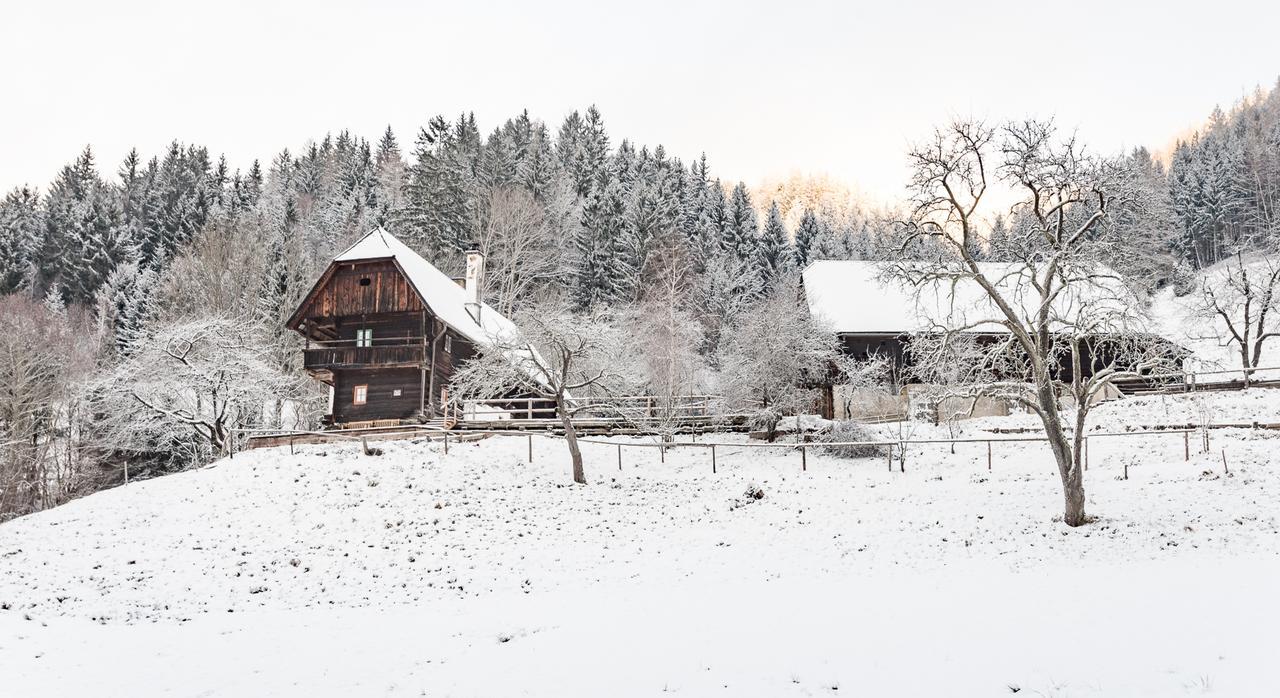 Villa Urlaub Auf Der Alm "Deluxe" Preggraben Exterior foto